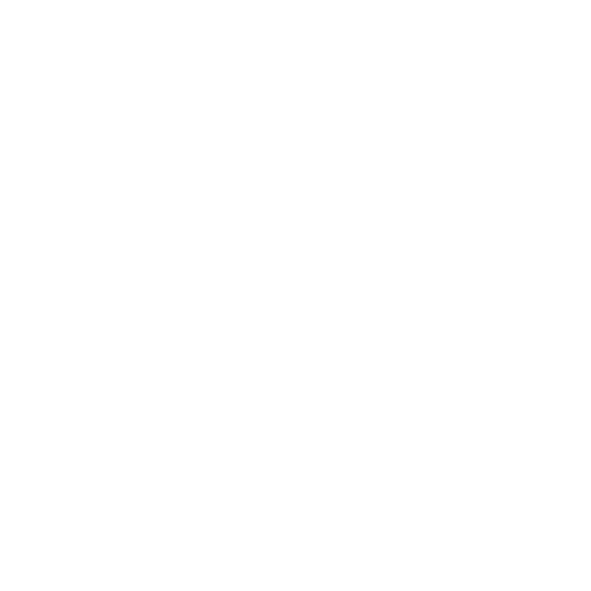 Logo PBVI - Planung, Bauüberwachung, Vermessung für Infrastruktur