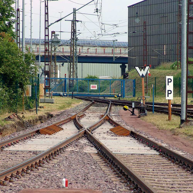 d_08.800x800