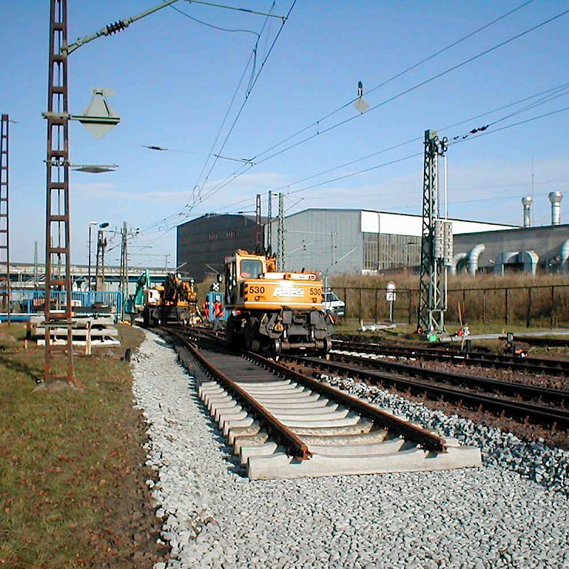 d_09.800x800