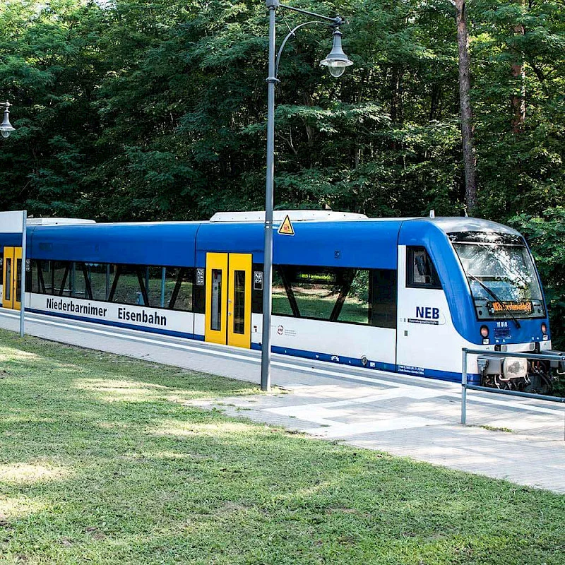 Bahnsteig_Neubau_Bad_Saarow_0013