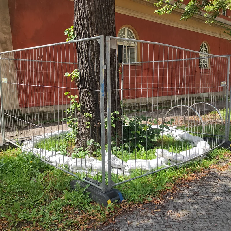 10_Baumschutzfachliche_Baubegleitung_Potsdam20260211_0009