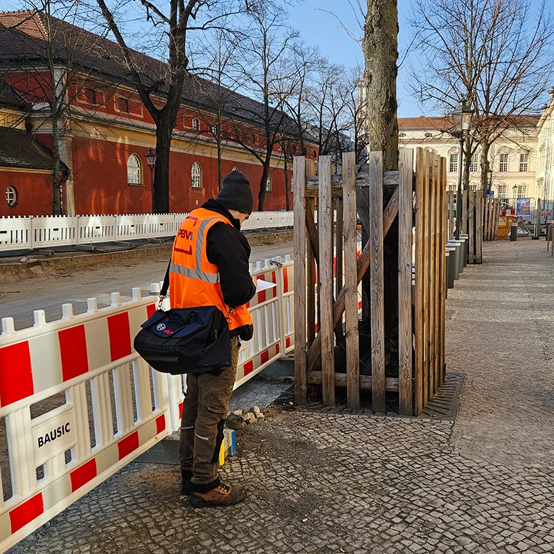 10_Baumschutzfachliche_Baubegleitung_Potsdam20260211_0011